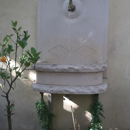 Tombe La Nefle Avignon